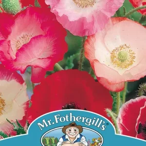 SEMENCES DE FLEURS: PAVOT - SHIRLEY SINGLE MIXED FOOTPRINT PRODUCTS LIMITED