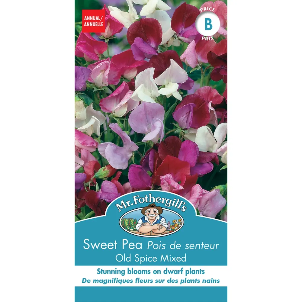 SEMENCES DE FLEURS: POIS DE SENTEURS - OLD SPICE MIXED FOOTPRINT PRODUCTS LIMITED