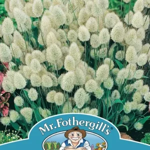 SEMENCES DE FLEURS: QUEUE DE LIEVRES FOOTPRINT PRODUCTS LIMITED