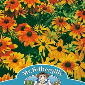 SEMENCES DE FLEURS: RUDBECKIA - RUSTIC DWARF FOOTPRINT PRODUCTS LIMITED
