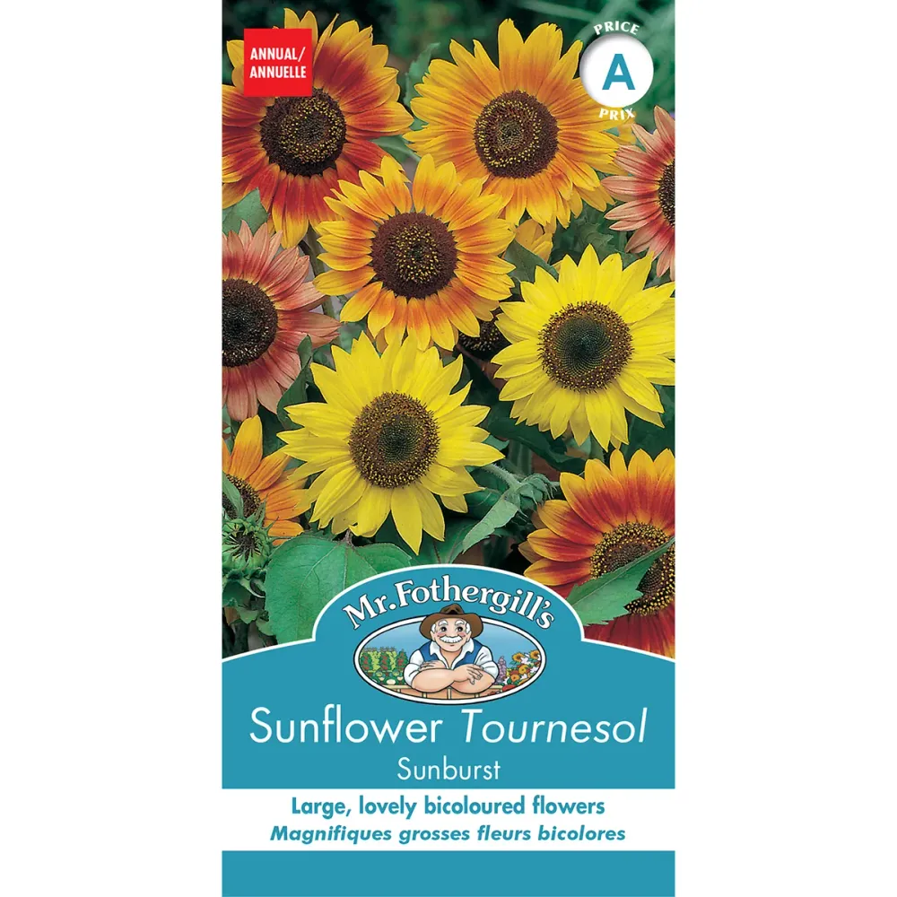 SEMENCES DE FLEURS: TOURNESOL - SUNBURST FOOTPRINT PRODUCTS LIMITED