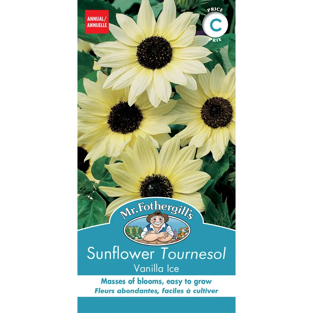 SEMENCES DE FLEURS: TOURNESOL - VANILLA ICE FOOTPRINT PRODUCTS LIMITED