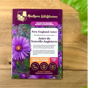 SEMENCES DES FLERUS: ASTER DE NOUVELLE - ANGLETERRE NORTHERN WILDFLOWERS