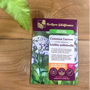 SEMENCES DE FLEURS: ACHILÉE MILLEFEUILLE NORTHERN WILDFLOWERS
