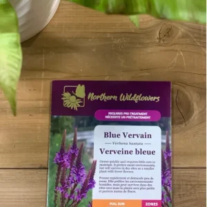 SEMENCES DE FLEURS: VERVEINE BLEUE NORTHERN WILDFLOWERS