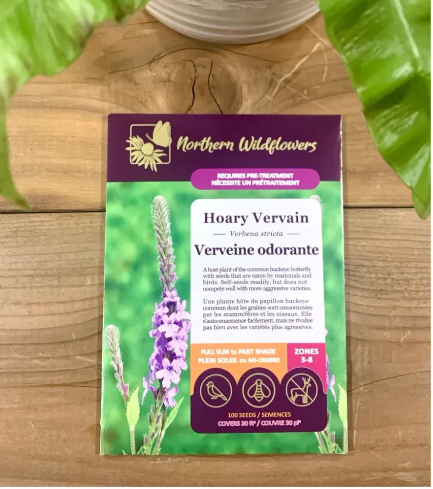 SEMENCES DE FLEURS: VERVEINE ODORANTE NORTHERN WILDFLOWERS