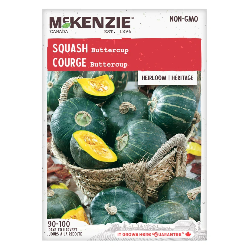 SEMENCES DE LEGUMES: COURGE - BUTTERCUP A.E. MCKENZIE CO.