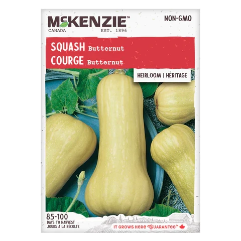 SEMENCES DE LEGUMES: COURGE - BUTTERNUT A.E. MCKENZIE CO.