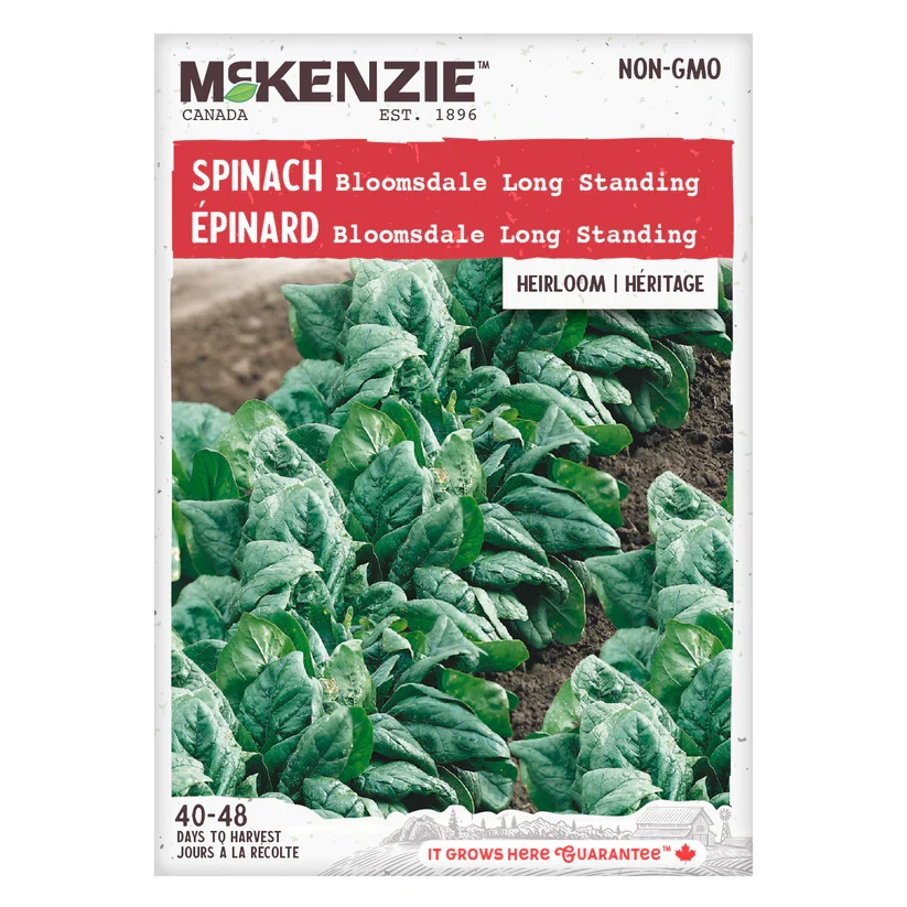 SEMENCES DE LEGUMES: EPINARD - LONG STANDING BLOOMSDALE A.E. MCKENZIE CO.