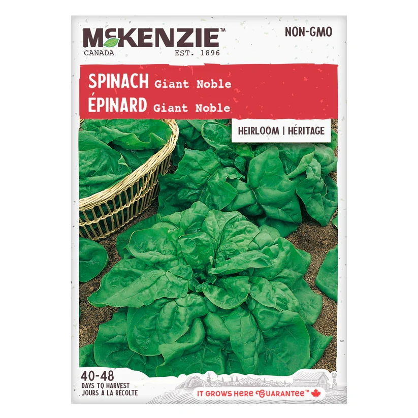 SEMENCES DE LEGUMES: ÉPINARD - GIANT NOBLE A.E. MCKENZIE CO.
