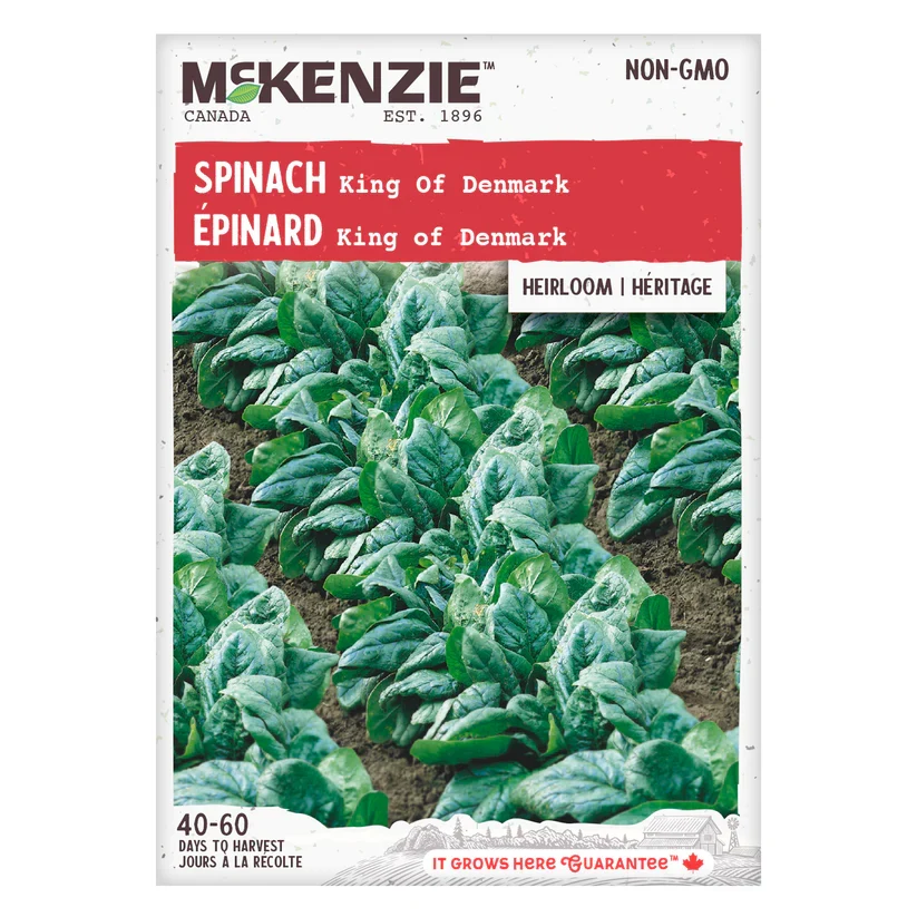 SEMENCES DE LEGUMES: ÉPINARD - KING DENMARK A.E. MCKENZIE CO.