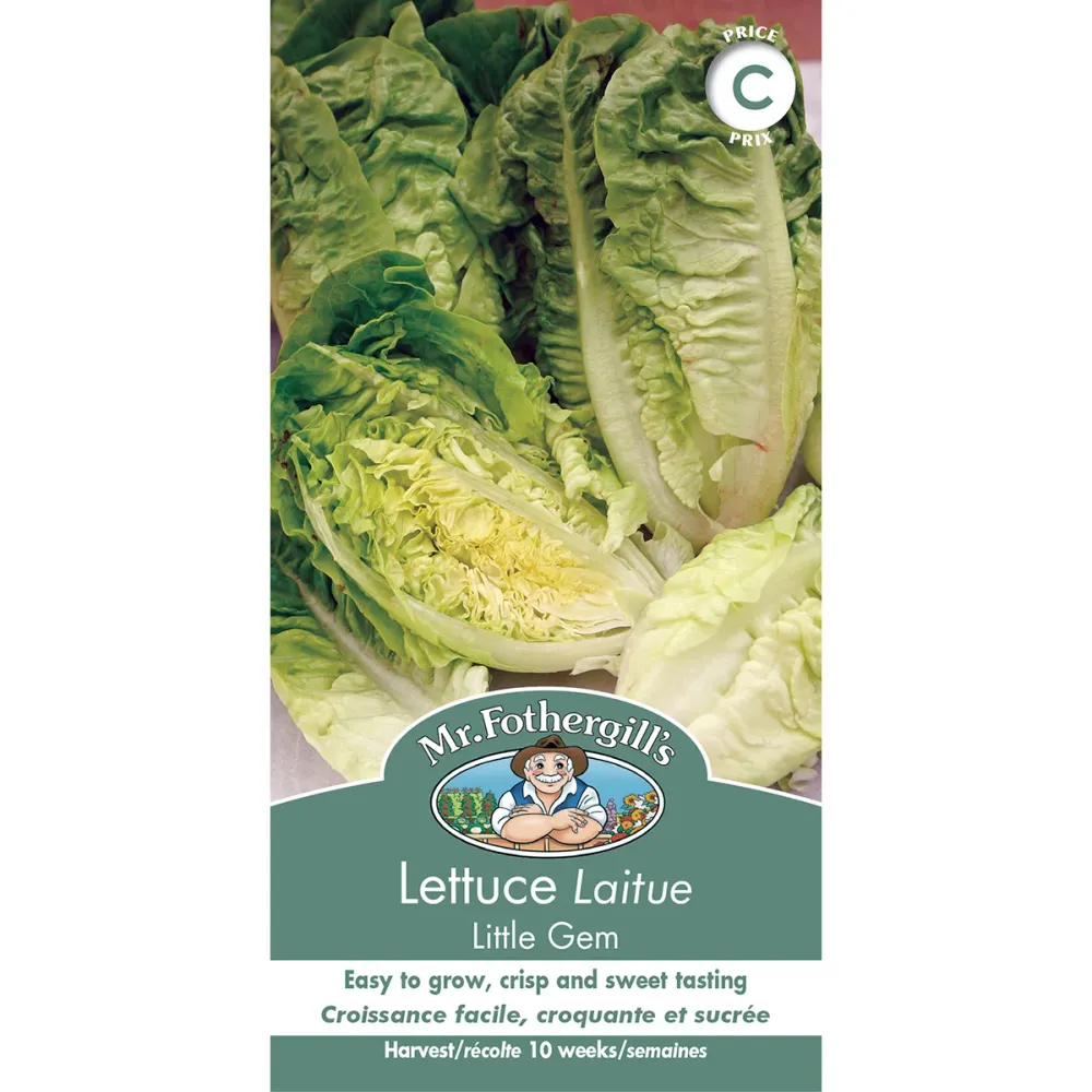 SEMENCES DE LEGUMES: LAITUE - LITTLE GEM FOOTPRINT PRODUCTS LIMITED