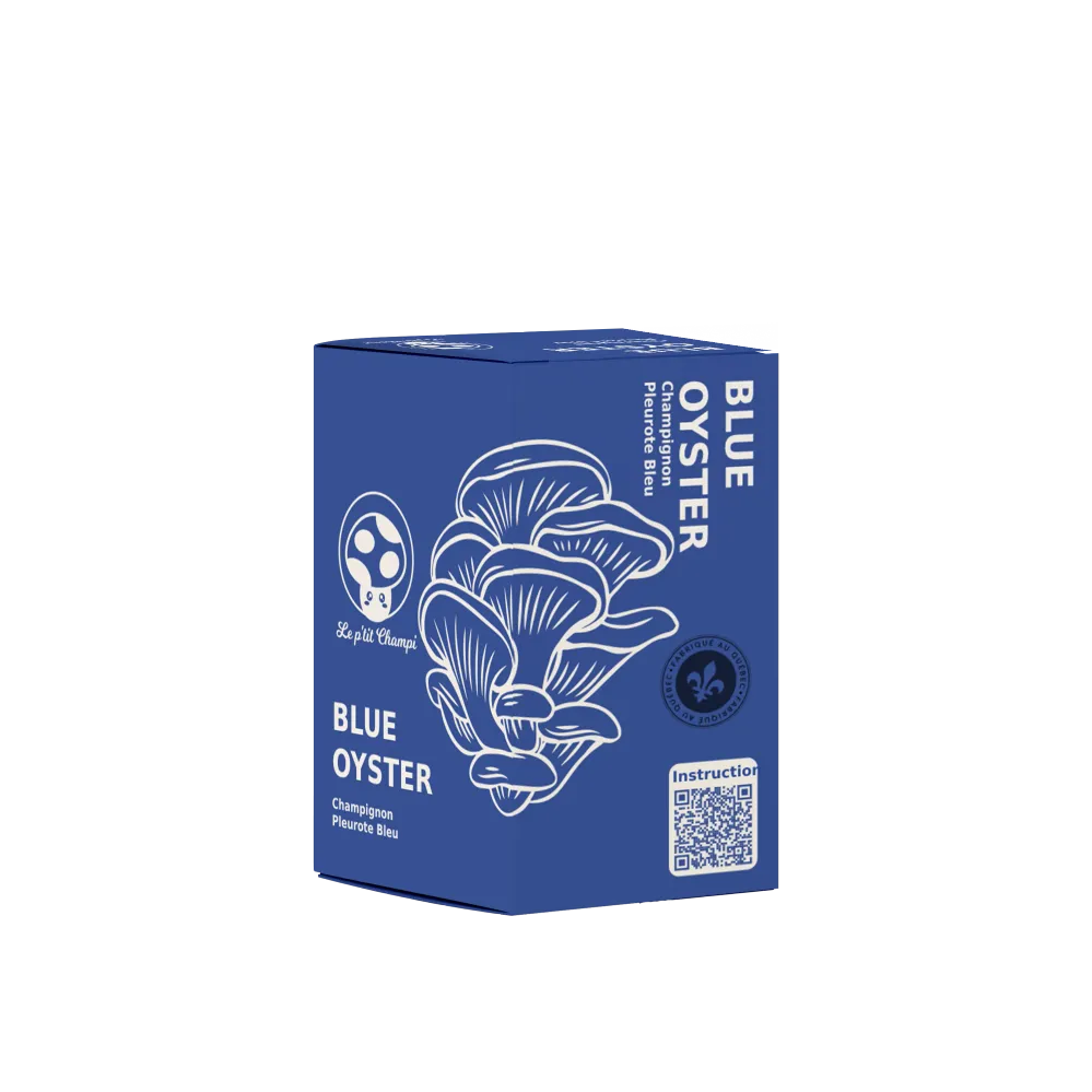 KIT DE CHAMPIGNONS PLEUROTES BLEUS Le Petit Champi