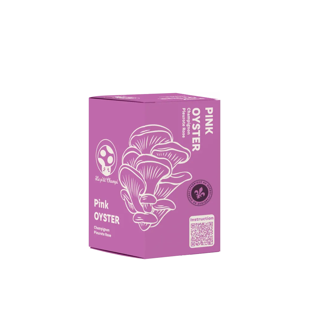 KIT DE CHAMPIGNONS PLEUROTES ROSES Le Petit Champi