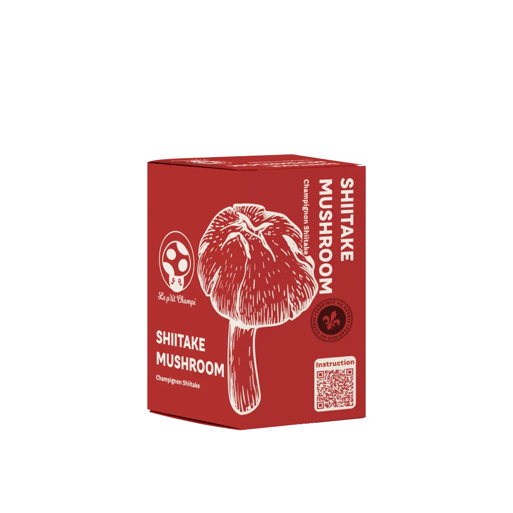 KIT DE CHAMPIGNONS SHIITAKE Le Petit Champi