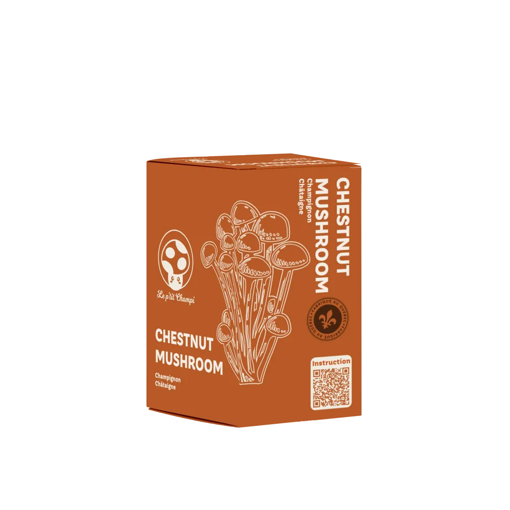 KIT DE CULTURE DE CHAMPIGNON CHESTNUT Le Petit Champi