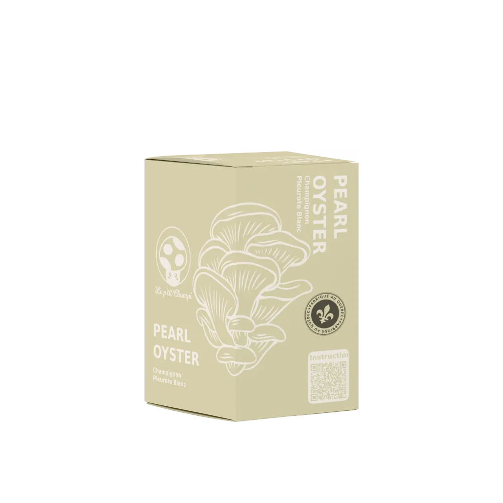 KIT DE CULTURE DE PLEUROTES PERLIÈRES Le Petit Champi