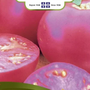 SEMENCES DE LEGUMES: TOMATE ROSE - PINK GIRL NORSECO