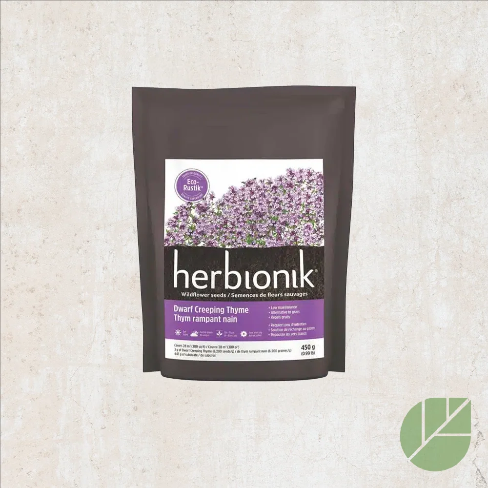Semences Eco-Rustik Thym Rampant Nain Herbionik