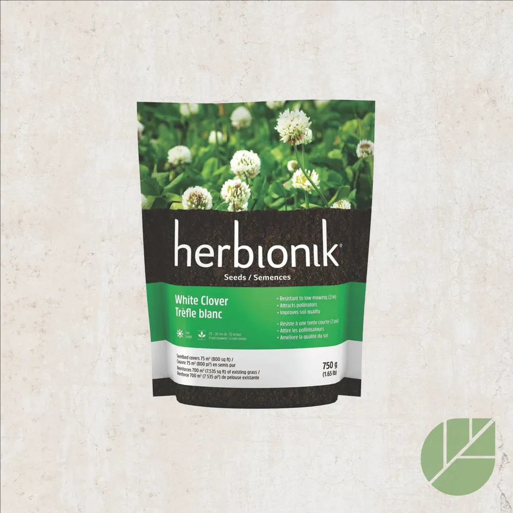 Semences de trèfle blanc Herbionik