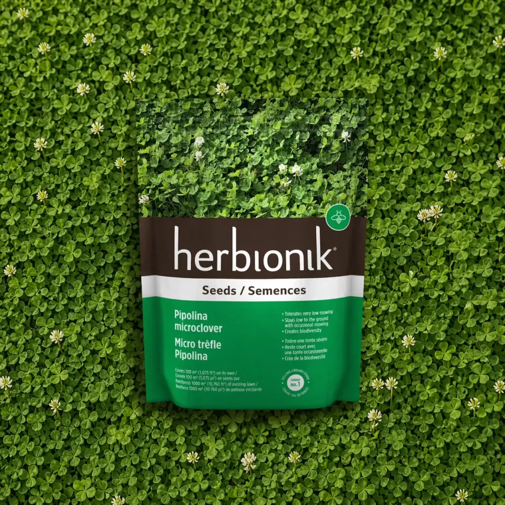 Semences de trèfle blanc micro Pipolina Herbionik