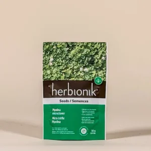 Semences micro trèfle Pipolina par Herbionik