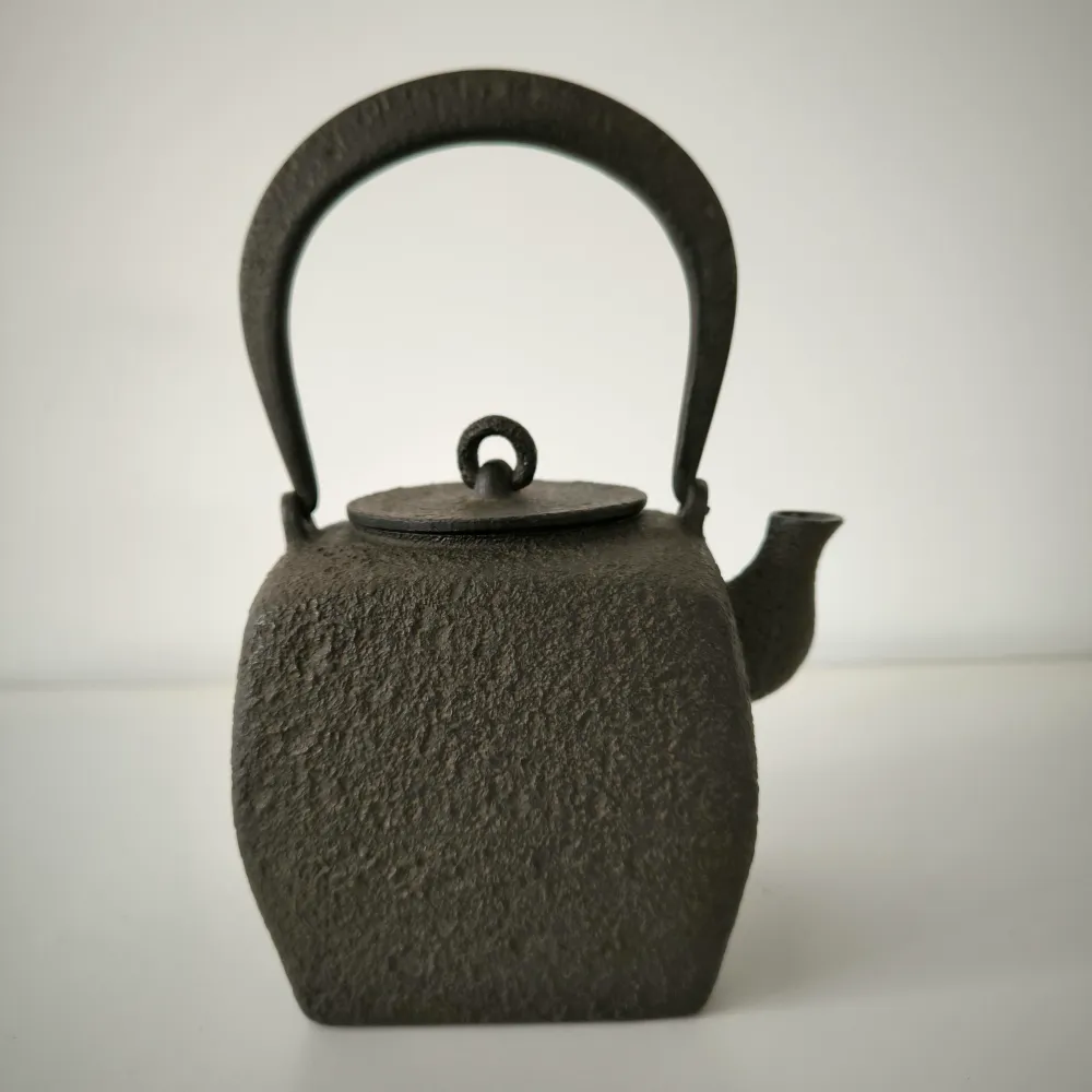 Théière en Fonte Originale Bouilloire 850ml Theieres Du Monde