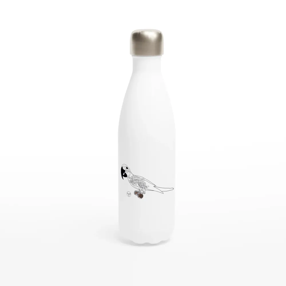 Bouteille d'eau Ara hyacinthe acier inoxydable 483 ml (17 oz)