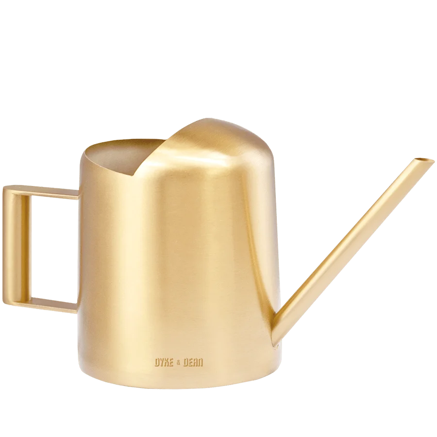 ARROSEUR INOX OR DYKE & DEAN